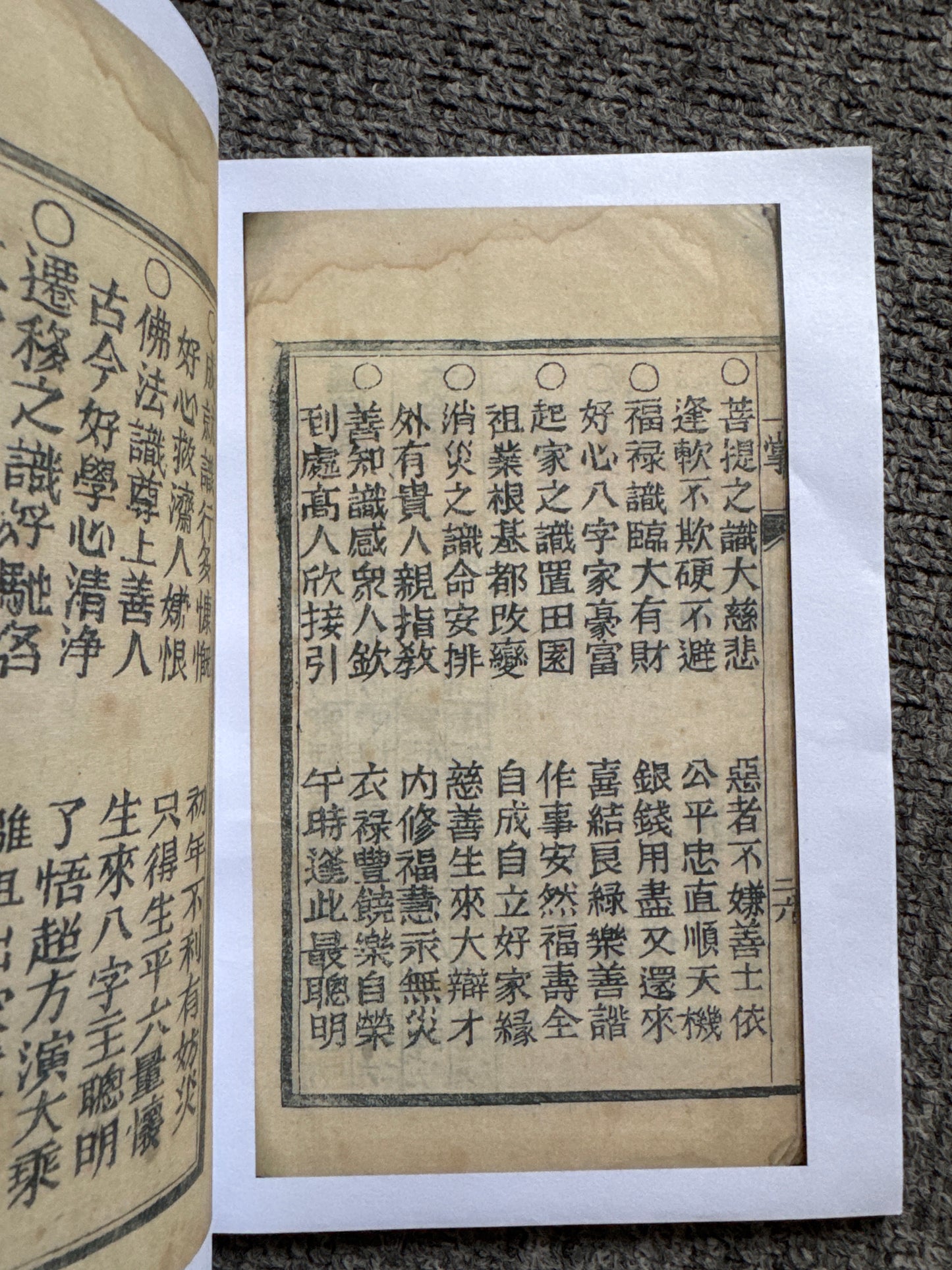一掌金
