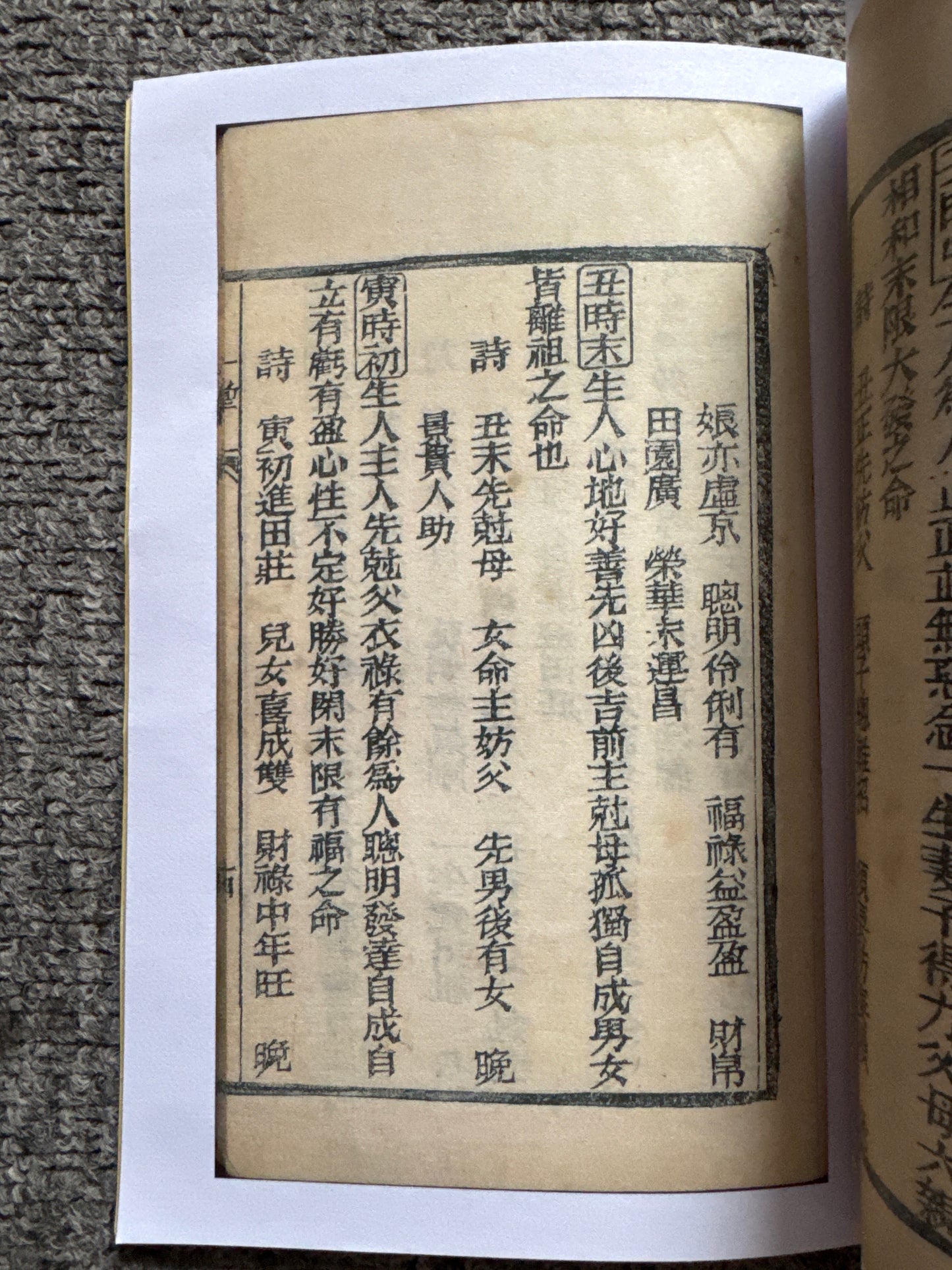 一掌金