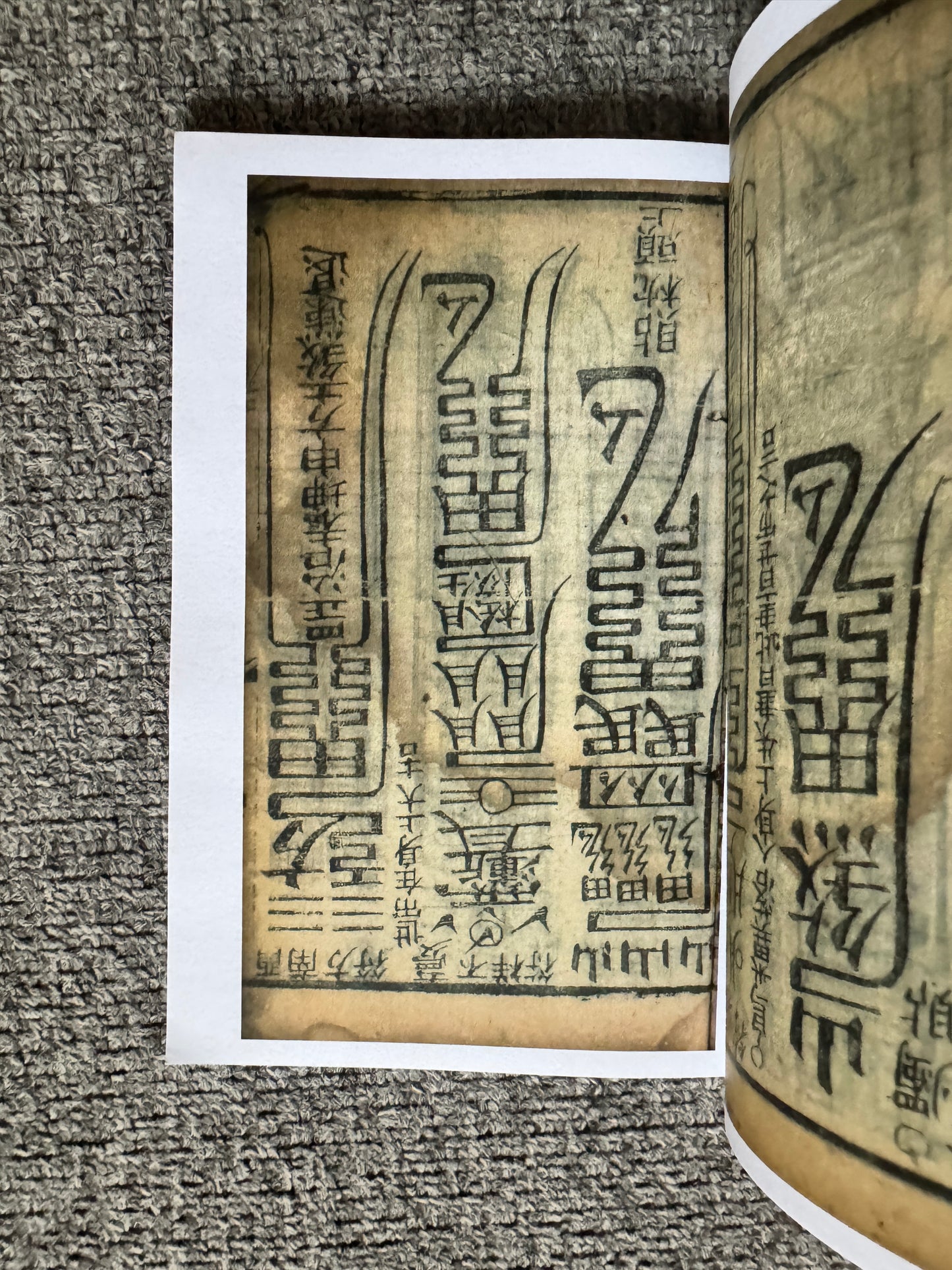 萬應犯